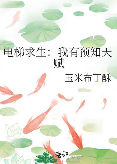 电梯传说