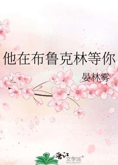 布鲁克林原著中文版阅读