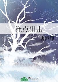 准点狙击TXT