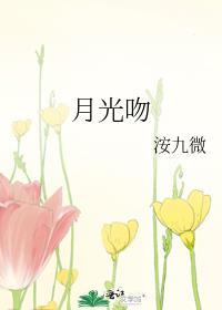 月光吻晏析笔趣阁