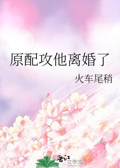 原配攻他离婚了by火车尾稍