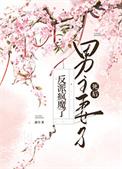 男主妻子死后反派疯魔了免费叶殳