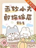 乖软小夫郎换嫁后霁青