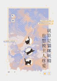 妖精猫咪动画片名称