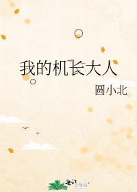 我的机长大人厉景川