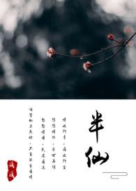 半仙文明