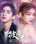 彼岸花的经典一句短句