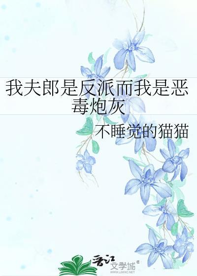 我夫郎是反派而我是恶毒炮灰 不睡觉的