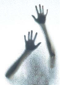 临风顾盼在梁秋实鸟文中意思