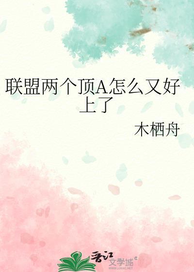 英雄联盟怎么有两个排位
