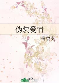 伪装爱情by晴空岚晋江