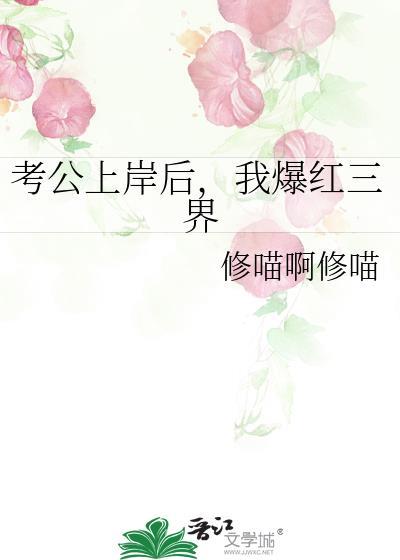 公考上岸后还可以继续考吗