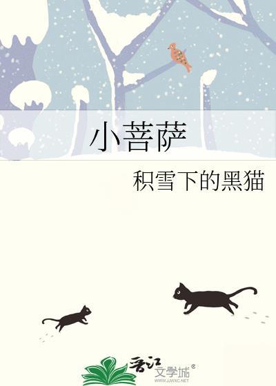 小菩萨by一颗黄铁柱原著