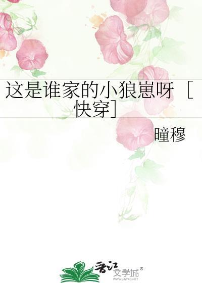 这是谁家吧