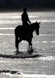 劫婚车说些什么