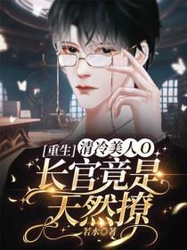 清冷美人是权臣