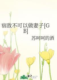 宿敌不可以做妻子番外