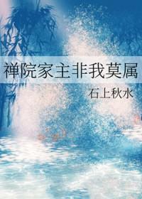 禅院家族祖传的术式