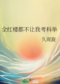 全红楼都不让我考科举 TXT