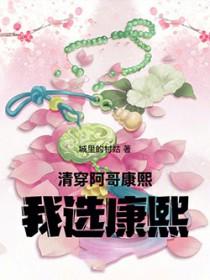 我选康熙txt