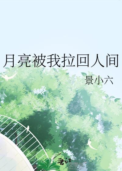 月亮被我拉回人间歌词