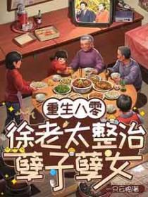 重生八零徐启刚