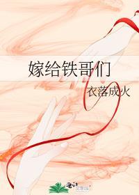 嫁给铁哥们 衣落成火晋江