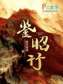 鉴昭行陆淮结局