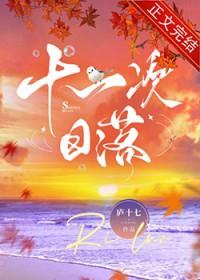 十一次日落by庐十七笔阁趣