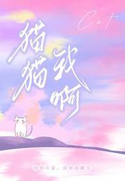 我猫呢