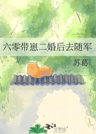 六零军嫂随军养娃