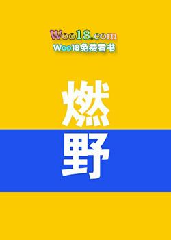 燃野少年的天空免费观看完整版