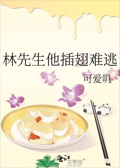 林先生他插翅难逃txt百度