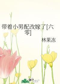 带着男神穿六零 作者莫小蝎