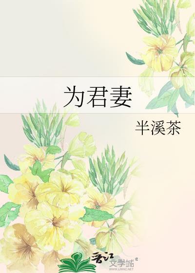 为君妻沈莲岫最新章节更新内容