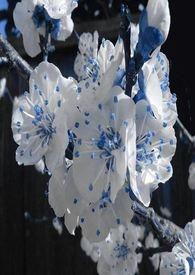 春秋航空融券卖出3800股