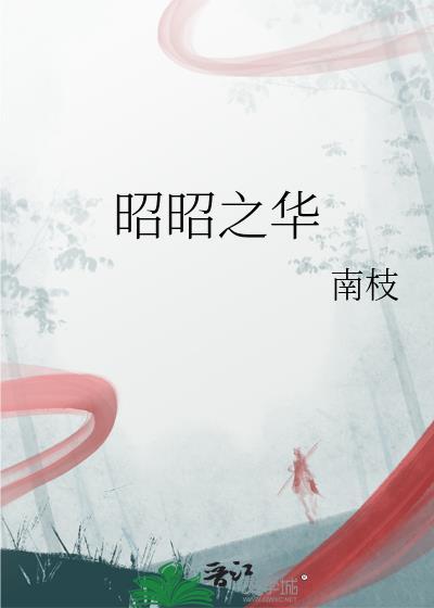 昭昭之华 南枝