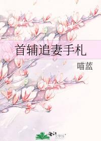 首辅重生追妻系列