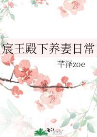 男主叫宸王的
