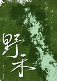 伪兄妹 文