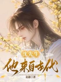 沈先生是谁