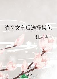 清穿之皇后文婉免费