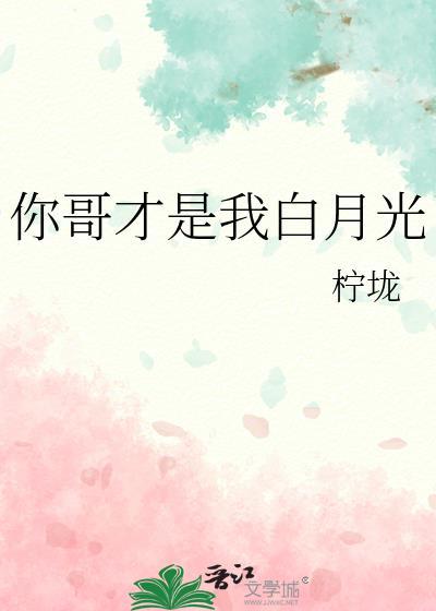 你哥才是我白月光讲的什么