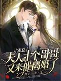 夫人又要离婚