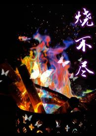 烧不尽utopia笔趣阁