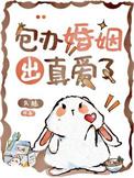 包办婚姻出真爱了by九陆讲的什么