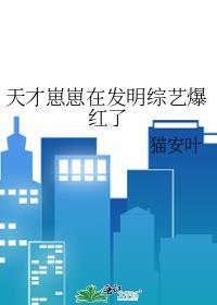 天才崽崽在发明综艺爆红了 猫安叶