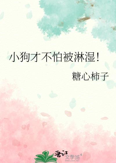 狗狗害怕淋雨吗