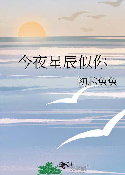 今夜星辰似你全文免费阅读全章节