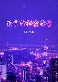 南雪的秘密账号by